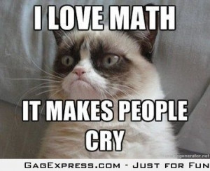 Even Grumpy Cat Likes Math