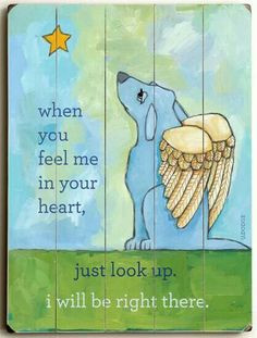 to heaven it s true and i know it anim all dogs go to heaven dog star ...