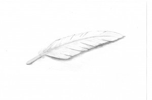 White Feather Movement And...