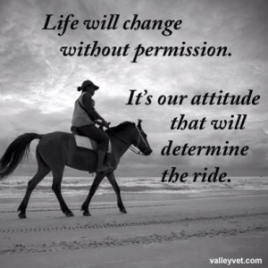 ... without permission. It's our attitude that will determine the ride