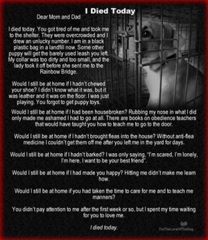 Found on Uploaded by user