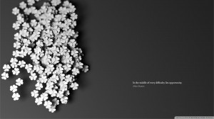 HD wallpaper : Pin Quotes On Attitude About Drama On Pinterest by ...