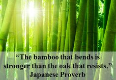 The bamboo that bends is stronger than the oak that resists ...