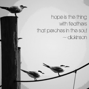 Inspirational Art Print - Emily Dickinson Quote, Seagulls on a Rope ...