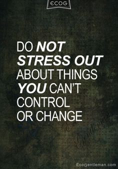 Quotes - Do not stress out about things you can not control or change ...