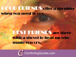 Funny Saying About Friendship