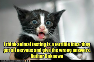 Animal testing is a terrible idea