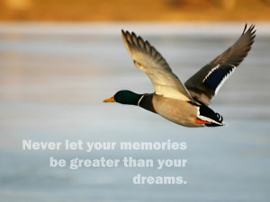Duck Hunting Quotes Portal