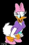 ... duck coloring pages tagged daisy and donald duck coloring pages