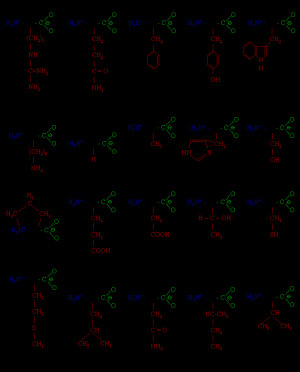 Image of Proteinogenic amino acid