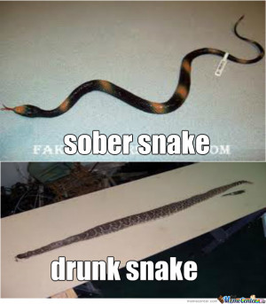 Go Home Snake You're Drunk