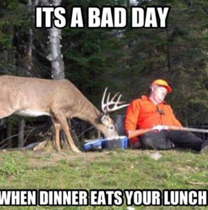 ... Animals , Funny fails , Funny Pictures // Tags: Its a bad day