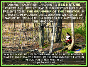 Homeschool Nature Study & Pope Quote!