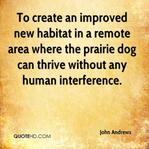 ... Area Where The Prairie Dog Can Thrive Without Any Human Interference
