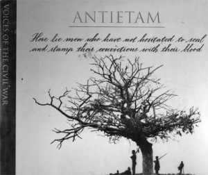 cover, Voices of the Civil War: Antietam