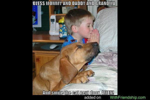 funny-dog-pictures-praying-dog.jpg