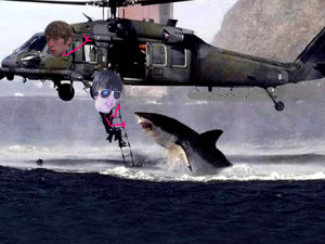 Funny Helicopter Pictures