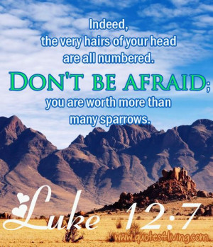 ... Don’t be afraid; you are worth more than many sparrows. ~ Luke 12:7