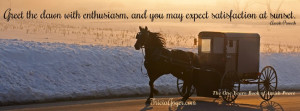 TheOne Year Book of Amish Peace is a devotional that allwill find ...