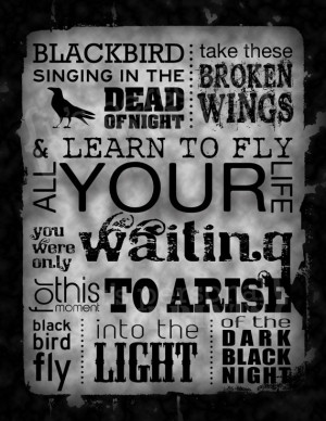 ... Blackbird Beatles, Beatles Blackbird, Blackbird Quotes, Blackbird