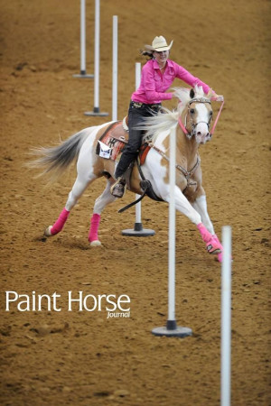 Pole bending paint horse