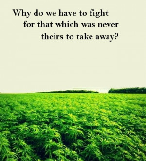 legalize #marijuana #free #weed #karma