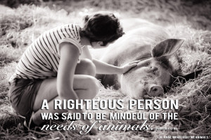 righteous person was said to be mindful of the needs of animals ...