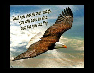 ... .com/post/49039272813/if-you-want-to-fly-with-the-eagles-dont-hang