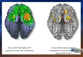 must admit that after seeing the results I changed my way of using ...
