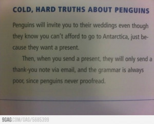 Cold, Hard Truths About Penguins