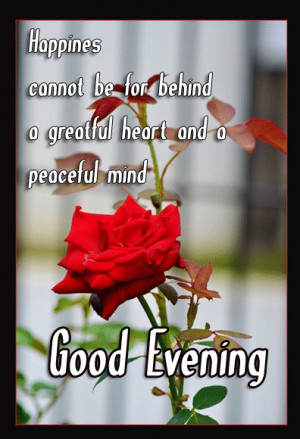 Good Evening Gif Images, Beautiful Good Evening Wallpapers, Gif ...
