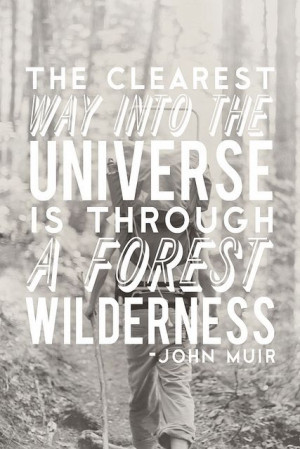 ... is through a forest wilderness