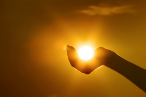 Light is the essence of Being . The light of the sun gives life to ...