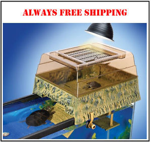 NEW Penn Plax Turtle Basking Platform $1820 Buy It Now Free Shipping