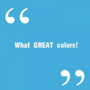 Funlights Customer Quote: What GREAT colors!