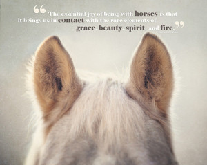 Horse Art, Horse Photography, Horse Quotes, Joy of Horses, Horse Ears ...