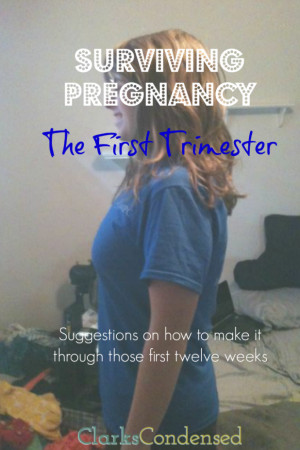 Surviving Pregnancy: The First Trimester Suggestions on how to make it ...