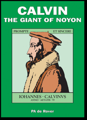 Should John Calvin Theology