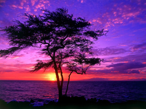 for beautiful sunset in hawaii wallpaper beautiful sunset in hawaii ...