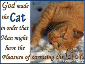 Cat Quotes Graphics, Pictures - Page 2