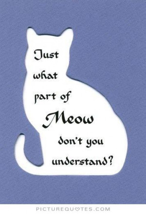 Just what part of meow don't you understand. Picture Quote #1