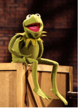 WHO IS KERMIT THE FROG?