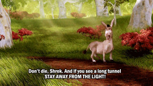 5148 notes | #Shrek #Donkey #haha #tunnel #light #movie quote