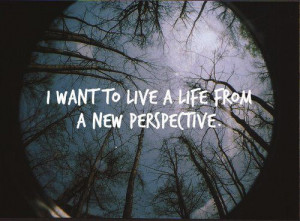 new perspective – panic! at the disco