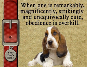 BASSET HOUND Dog Magnet Obedience Is Overkill PERSONALIZED