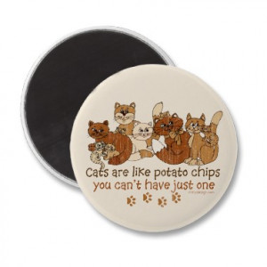 cats-are-like-potato-chips-magnet-p147638082968070250enqyk-380.jpg