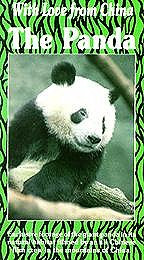 oogway express n master panda kung fu like panda very