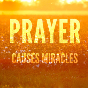 Prayer Causes Miracles~♥ ~ Sometime I need to be reminded Jehovah ...