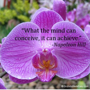 What the mind can conceive, it can achieve.” - Napoleon Hill ...