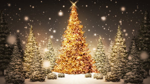 Glowing Christmas Trees HD Wallpaper